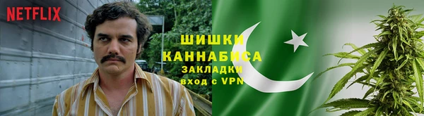 амф Аркадак